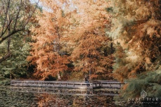 VanDusen Botanical Garden - Fall Engagement